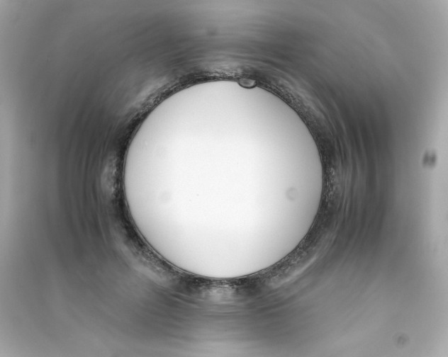 X0000090410600200708101921