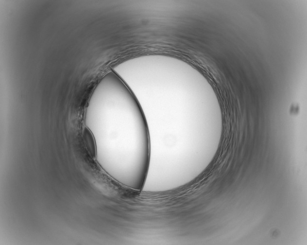 X0000090410601200708101921