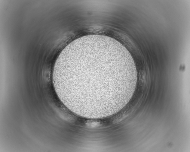X0000090410602200708101921