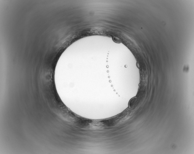 X0000090410603200708101921