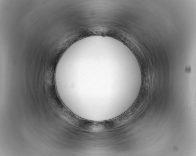X0000090410604200708101921