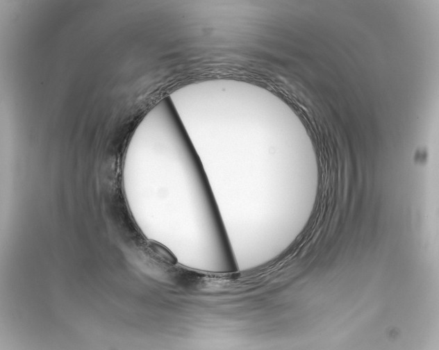 X0000090410605200708101921