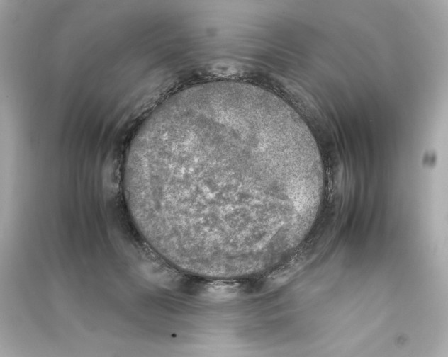 X0000090410606200708101921