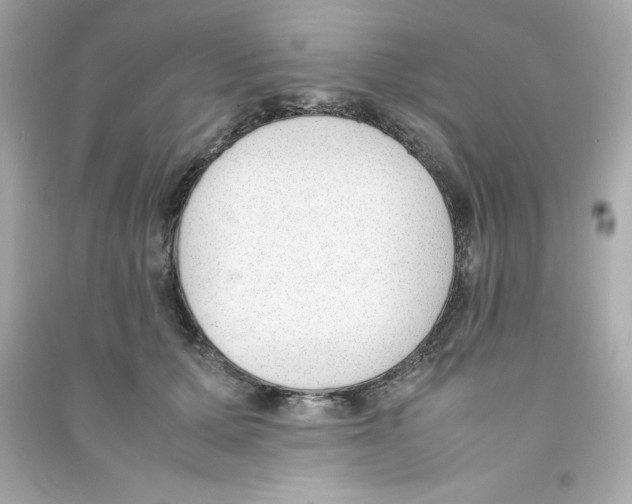 X0000090410607200708101921