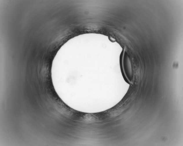 X0000090410608200708101921