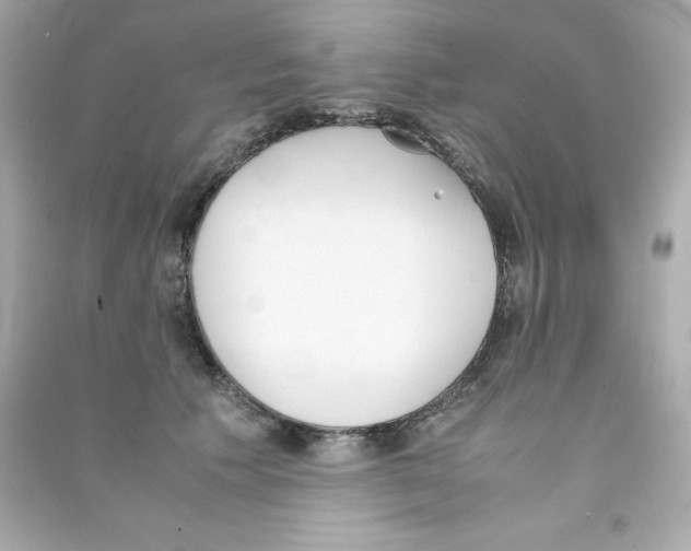 X0000090410609200708101921
