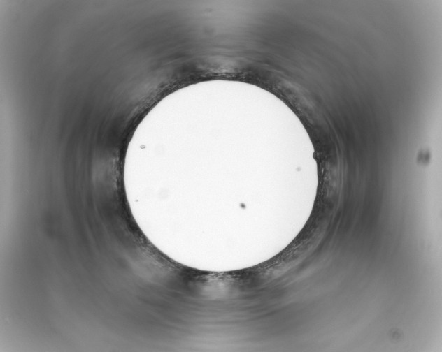 X0000090410612200708101921