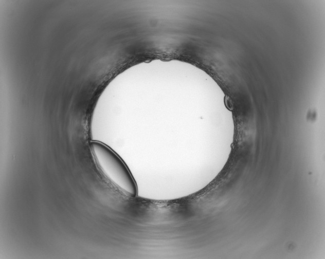 X0000090410613200708101921