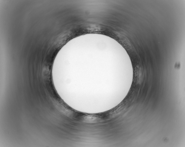 X0000090410614200708101921