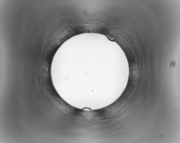 X0000090410615200708101921