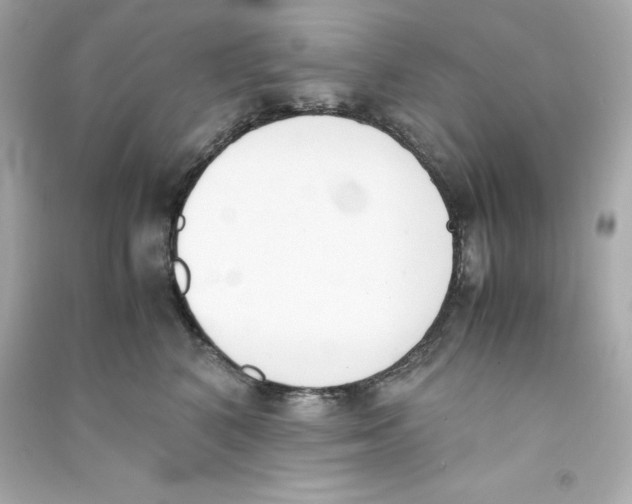 X0000090410616200708101921