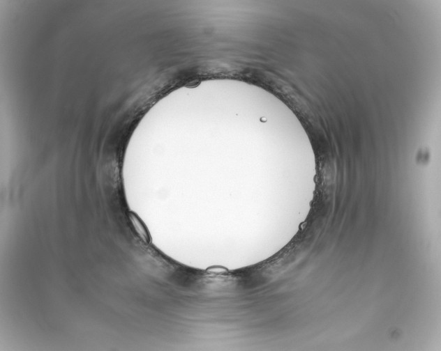 X0000090410617200708101921