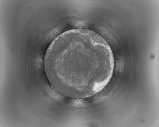X0000090410618200708101921