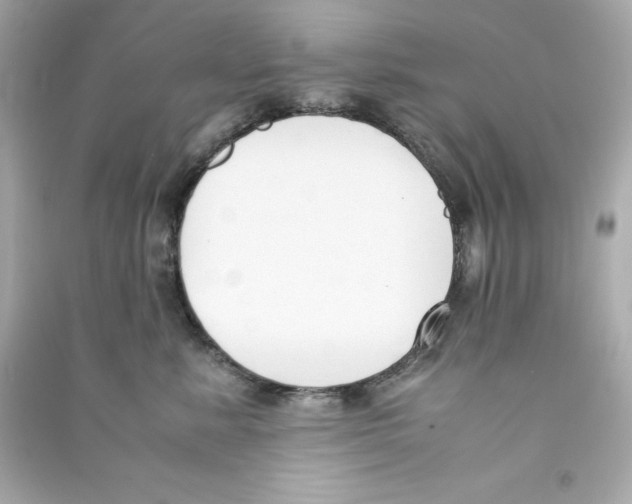X0000090410619200708101921