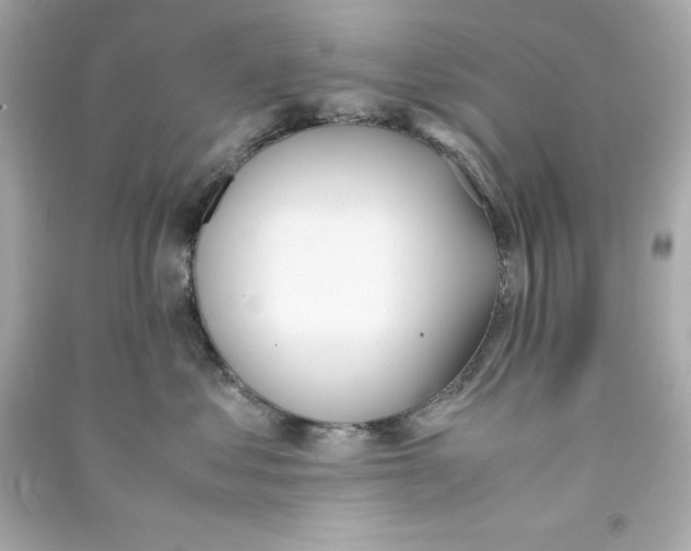 X0000090410621200708101921