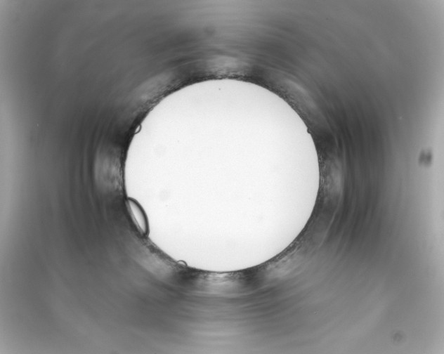 X0000090410622200708101921