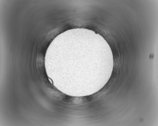 X0000090410623200708101921