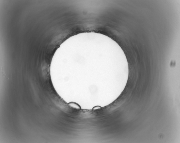 X0000090410624200708101921