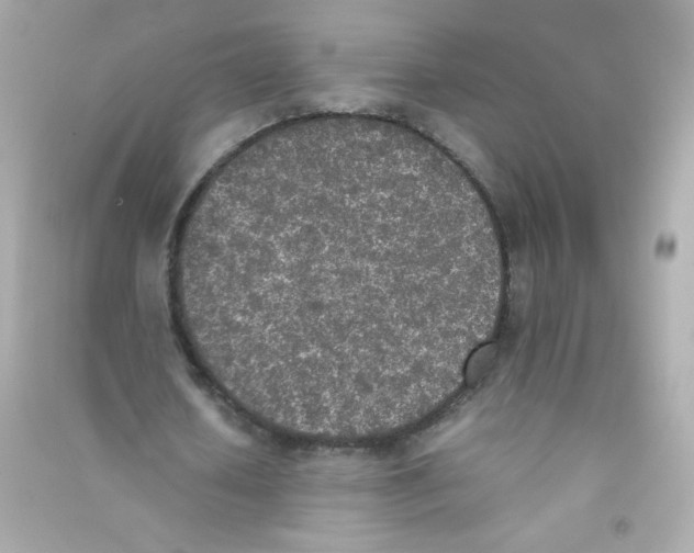 X0000090410626200708101920
