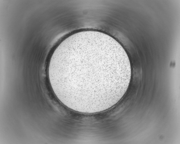 X0000090410628200708101920