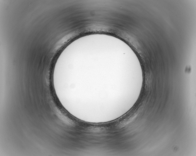 X0000090410629200708101920
