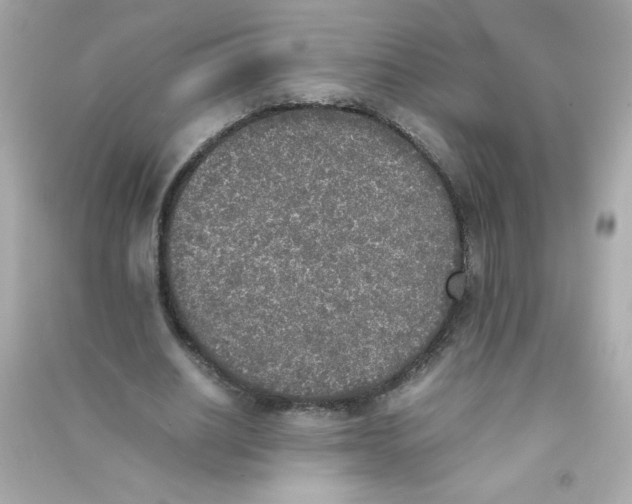 X0000090410630200708101920