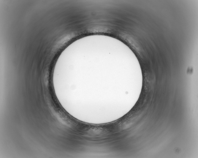 X0000090410631200708101920