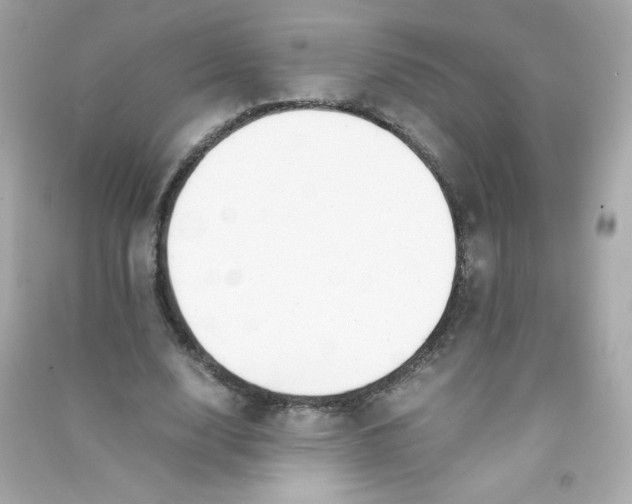 X0000090410632200708101920