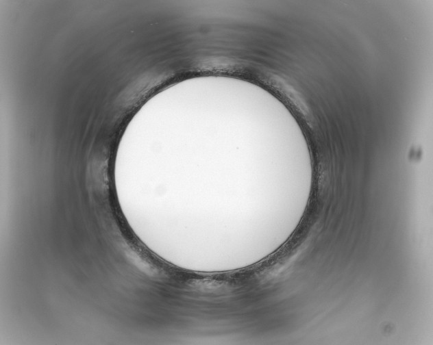 X0000090410633200708101920