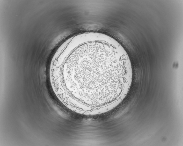 X0000090410634200708101920