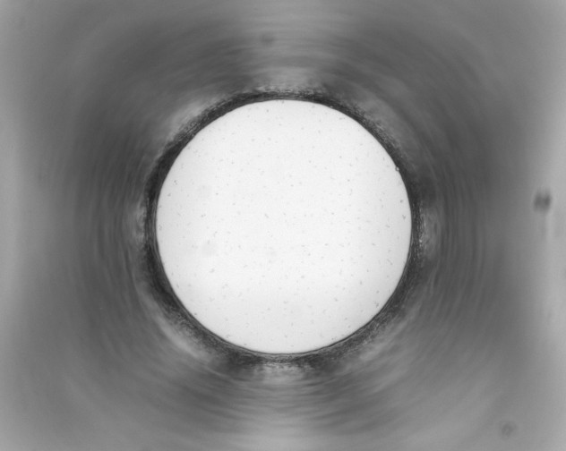 X0000090410636200708101920