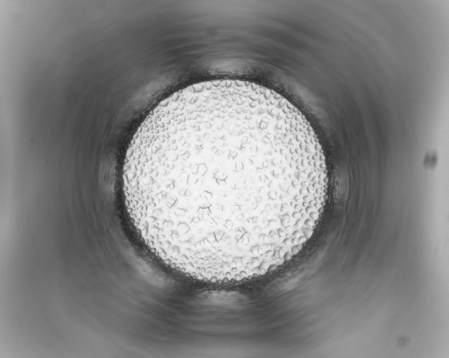 X0000090410637200708101920