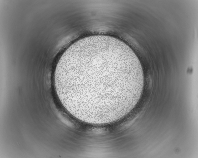 X0000090410638200708101920