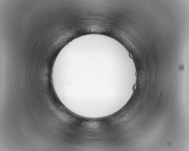 X0000090410639200708101920