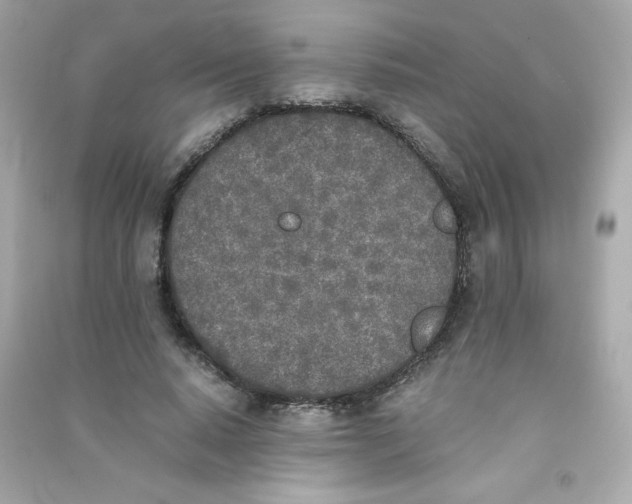 X0000090410640200708101920