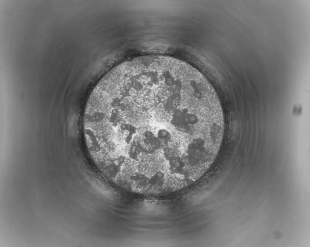 X0000090410641200708101920