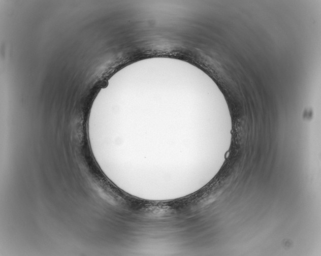 X0000090410642200708101920