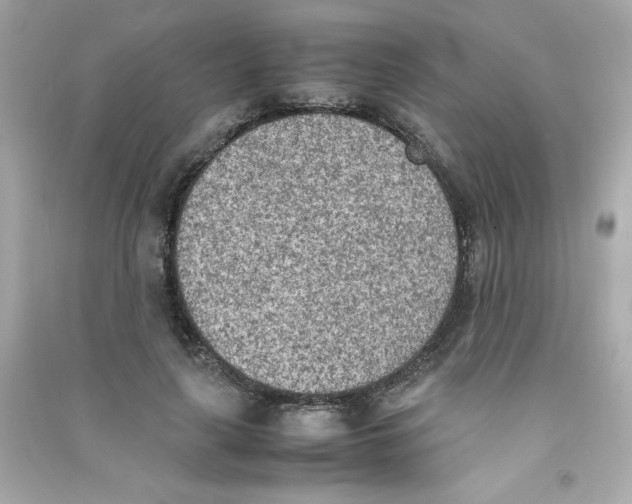 X0000090410643200708101920