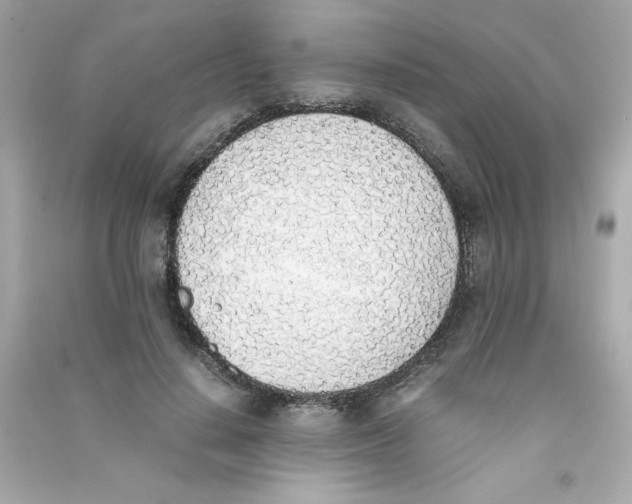 X0000090410644200708101920