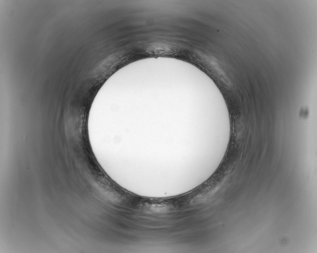 X0000090410645200708101920