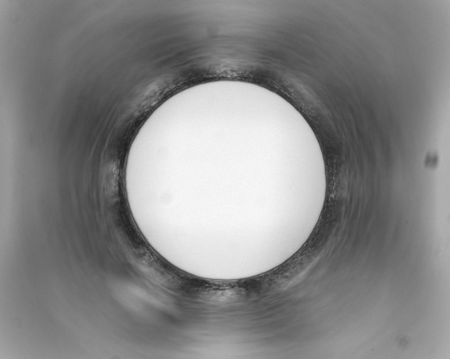 X0000090410646200708101920