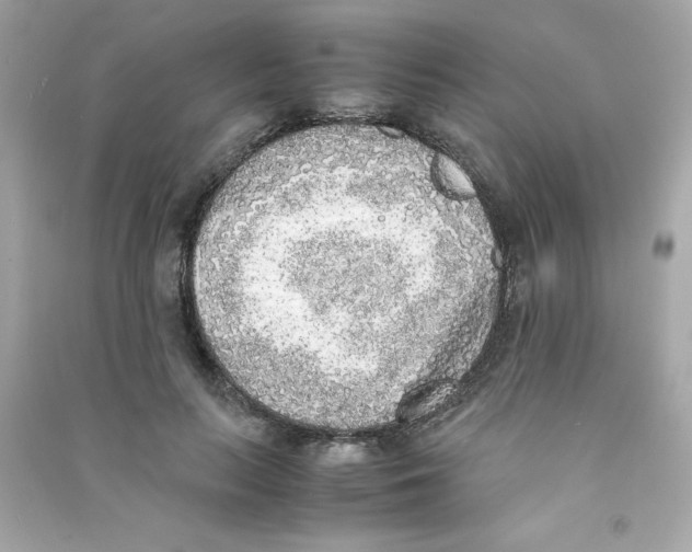 X0000090410647200708101920