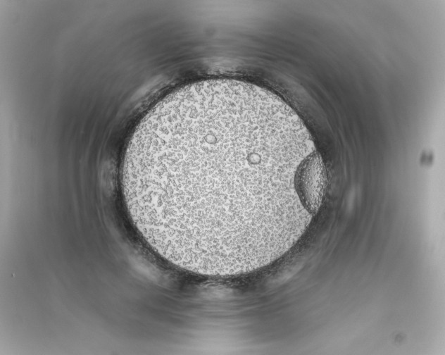 X0000090410648200708101920