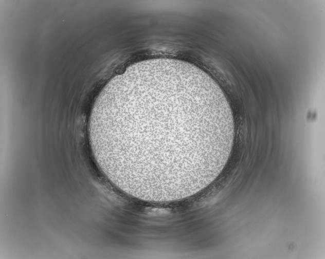 X0000090410649200708101920