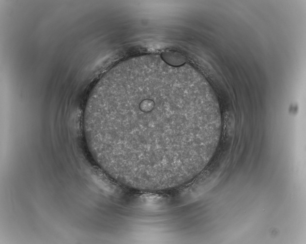 X0000090410650200708101920