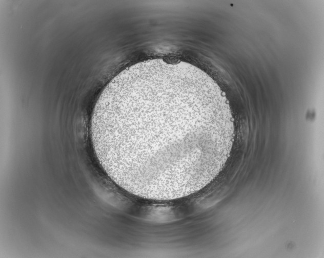X0000090410651200708101920