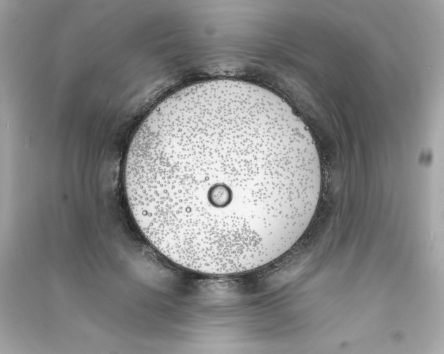 X0000090410652200708101920