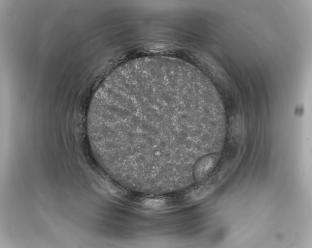 X0000090410653200708101920