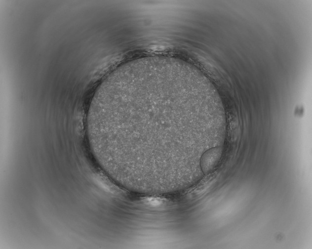 X0000090410654200708101920