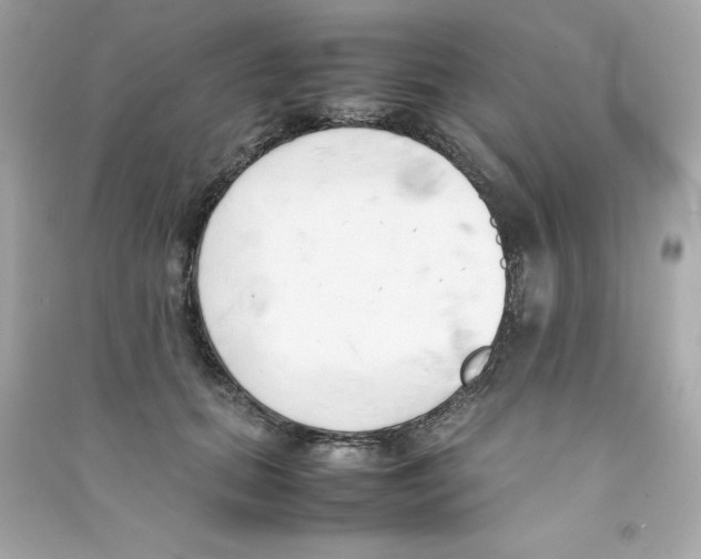 X0000090410655200708101920